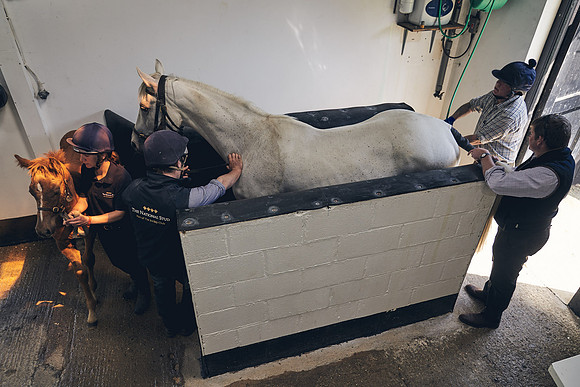 The-National-Stud-Dominic-James_DJ_4034