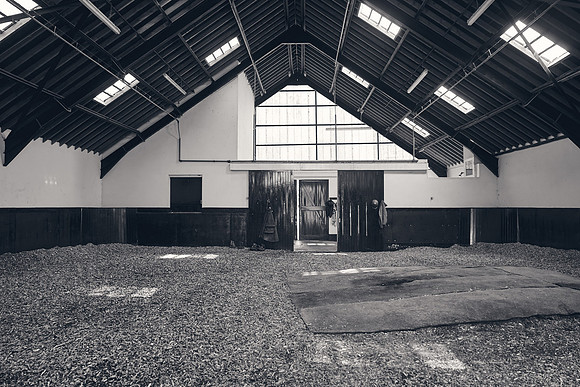 The-National-Stud-Dominic-James_DJ_3710