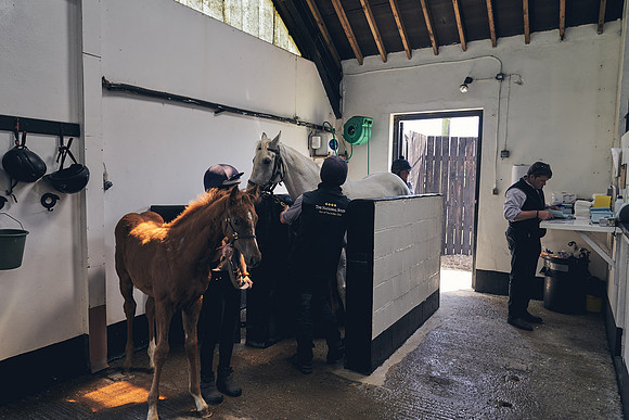 The-National-Stud-Dominic-James_DJ_4022