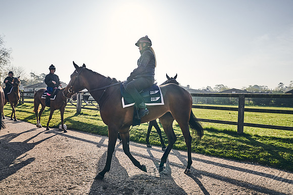 GEORGE-BOUGHEY-RACING-DJ-1476