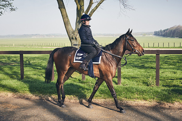 GEORGE-BOUGHEY-RACING-DJ-1785