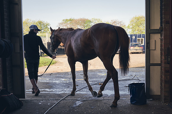 GEORGE-BOUGHEY-RACING-DJ-0943