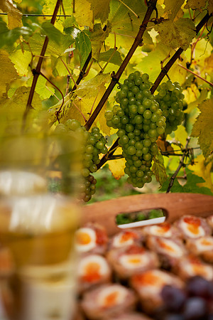 COATES-SEELY-HARVEST-Dominic-James-_DSC0074