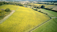 COATES-SEELY-HARVEST-Dominic-James-DJI_0052