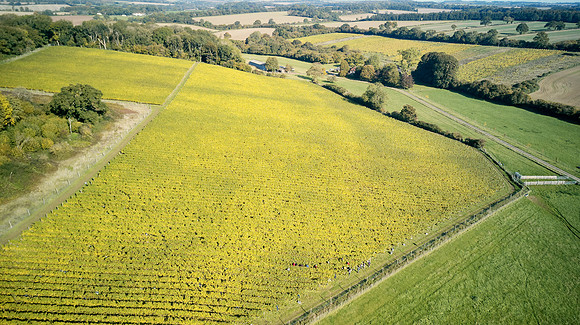 COATES-SEELY-HARVEST-Dominic-James-DJI_0052