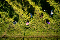 COATES-SEELY-HARVEST-Dominic-James-DJI_0062