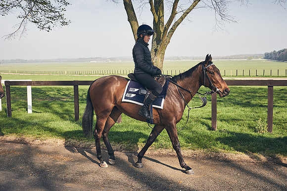 GEORGE-BOUGHEY-RACING-DJ-1788