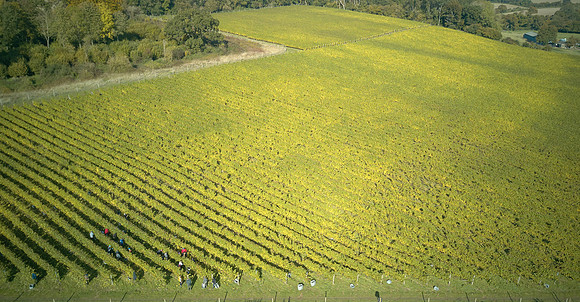 COATES-SEELY-HARVEST-Dominic-James-DJI_0049 2