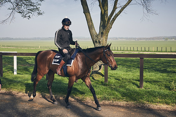 GEORGE-BOUGHEY-RACING-DJ-1778