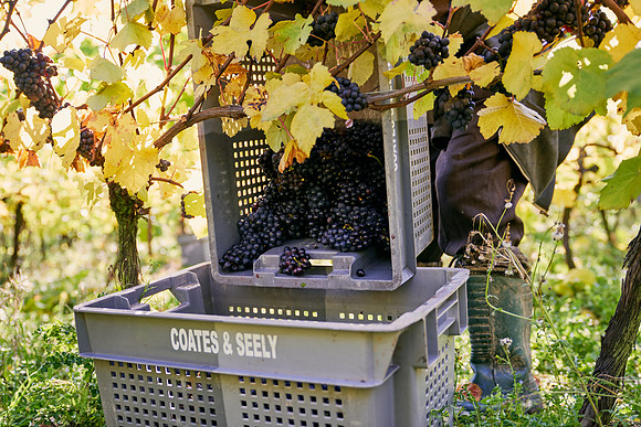 COATES-SEELY-HARVEST-Dominic-James-_DJ90431