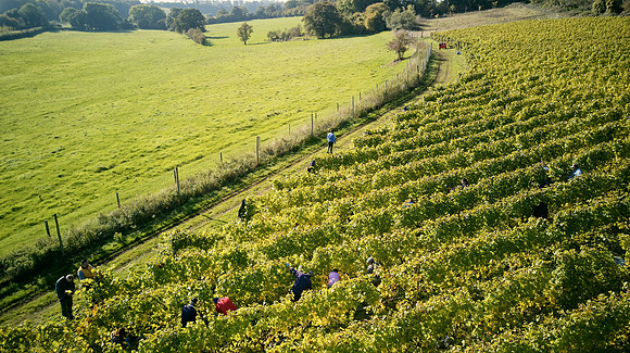 COATES-SEELY-HARVEST-Dominic-James-DJI_0045