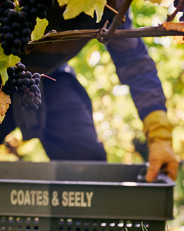 COATES-SEELY-HARVEST-Dominic-James-_DJ90428