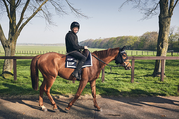 GEORGE-BOUGHEY-RACING-DJ-1800