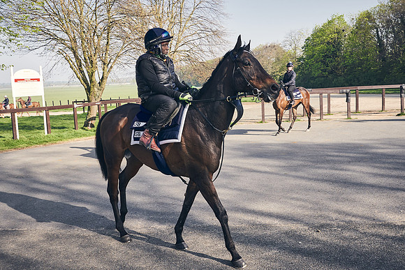 GEORGE-BOUGHEY-RACING-DJ-1810