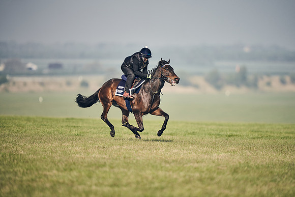 GEORGE-BOUGHEY-RACING-DJ-2959