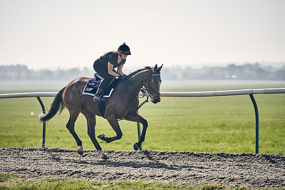 GEORGE-BOUGHEY-RACING-DJ-3408