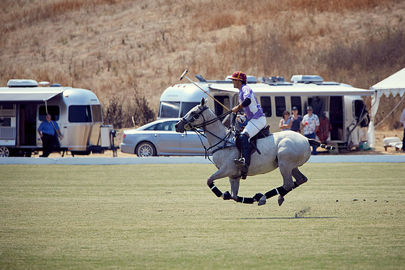 Oyster Cup Polo tournament