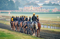 8th Sept Warren Hill 002