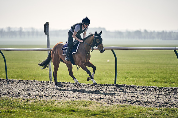 GEORGE-BOUGHEY-RACING-DJ-3358