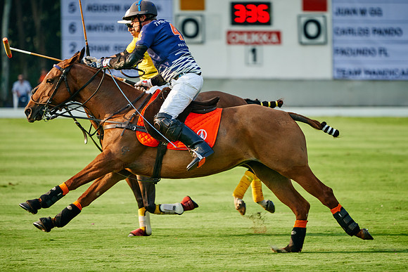THAI-POLO-OPEN-2019_DJ_0651