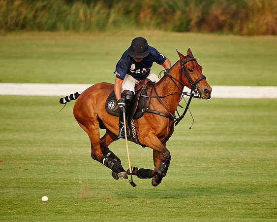 THAI-POLO-PRACTICE-2020-01-21-Dominic-James_DJ91845.ARW8668