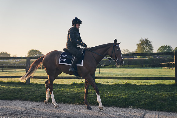 GEORGE-BOUGHEY-RACING-DJ-0293