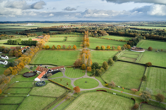 DJI_0555_HDR