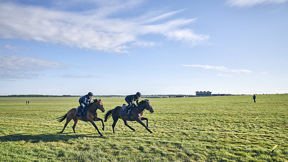 SUMMER GALLOPS-2nd-May-DJ-1491