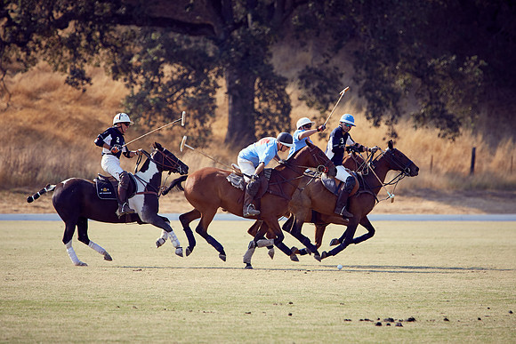 Oyster Cup Polo tournament