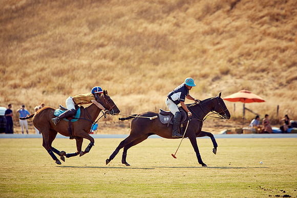 Oyster Cup Polo tournament