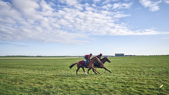 SUMMER GALLOPS-2nd-May-DJ-1784