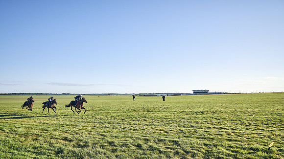 SUMMER GALLOPS-2nd-May-DJ-0981