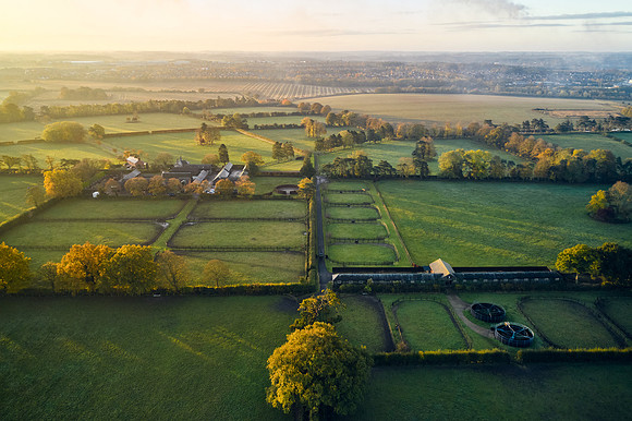 DJI_0590