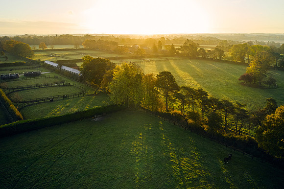 DJI_0612