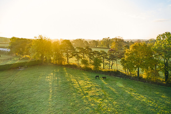 DJI_0622