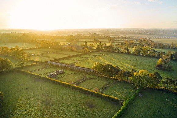DJI_0605