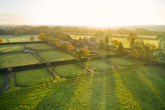 DJI_0636