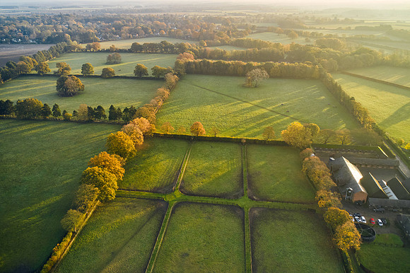 DJI_0645