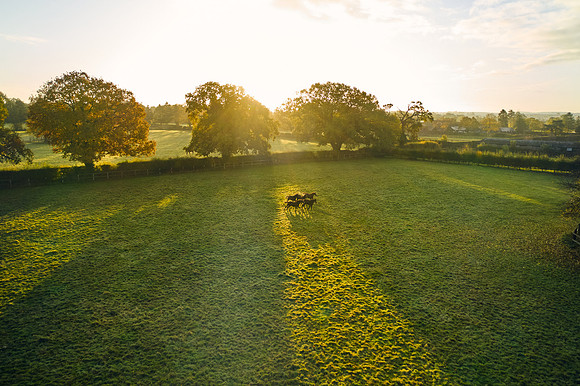DJI_0671