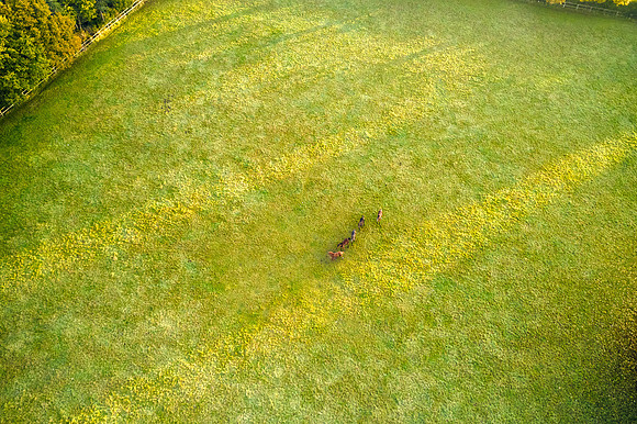 DJI_0657