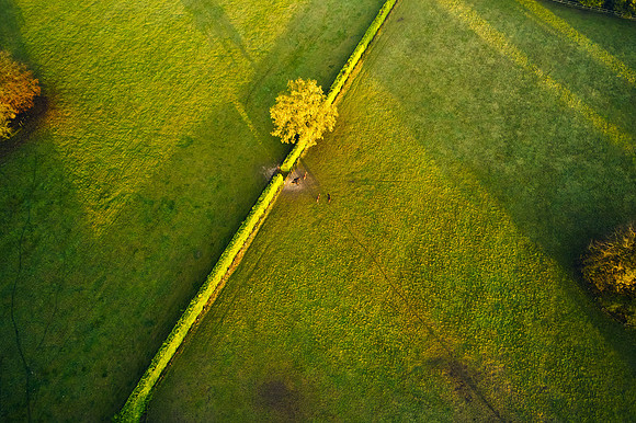 DJI_0652