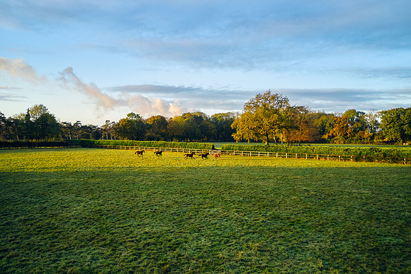 DJI_0677