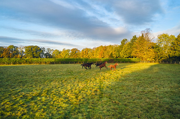DJI_0680