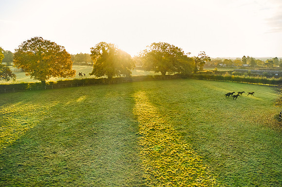 DJI_0675