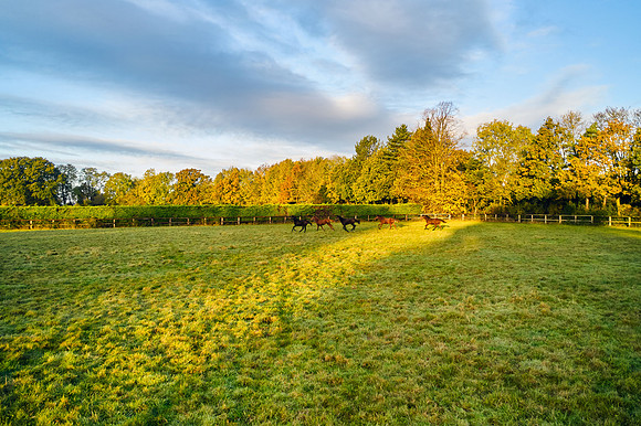 DJI_0682