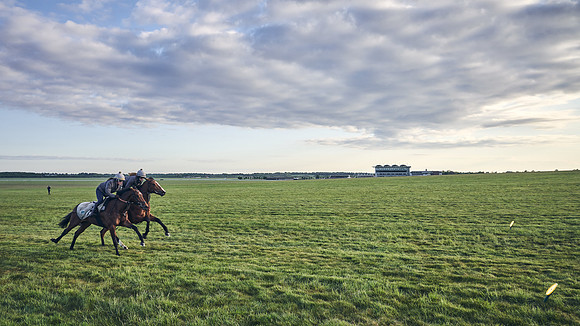 SUMMER GALLOPS-2nd-May-DJ-0792