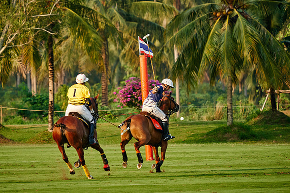 THAI-POLO-OPEN-2019_DJ_1034