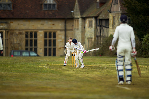 20130411-cricket-AG3A6751