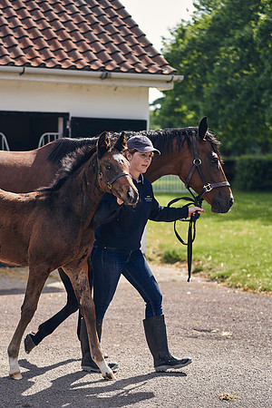 The-National-Stud-Dominic-James_DOM9538