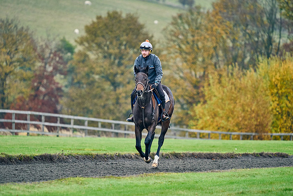 2021-11-16-Dominic-James-5518